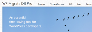 WP Migrate DB Image (1)